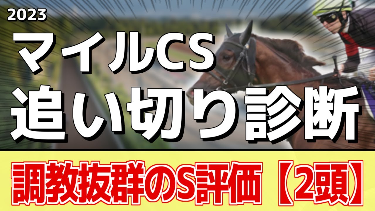 追い切り徹底解説！【マイルチャンピオンシップ2023】シュネルマイスター、セリフォスなどの状態はどうか？調教S評価は2頭！