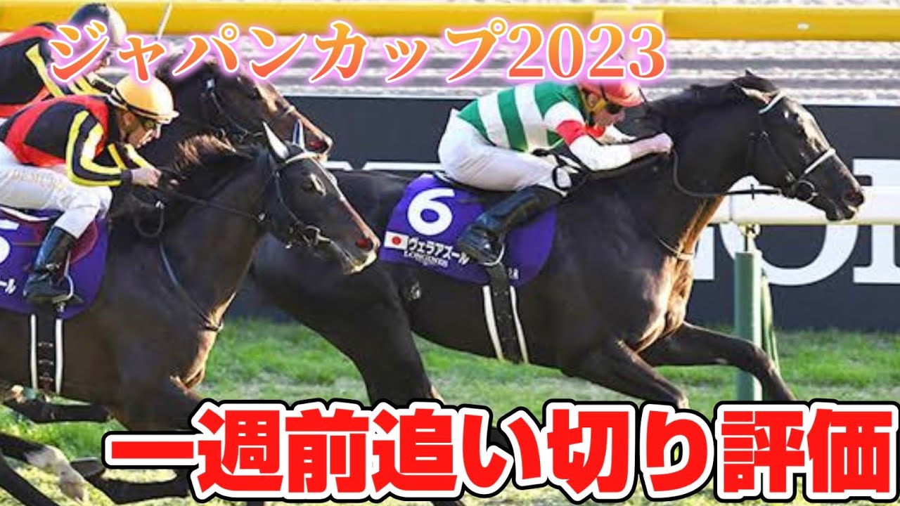 ジャパンカップ2023 一週前追い切り評価