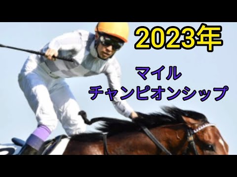 2023年マイルチャンピオンシップと　東京スポーツ杯２歳Ｓ　副業競馬