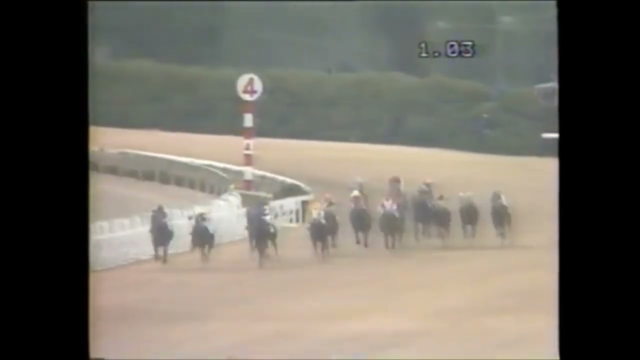 第１９回　報知杯　４歳牝馬特別（桜花賞トライアル）（ＧⅡ）　エルプス　牝３　54　木藤隆行　1985.3.17　　出走馬：ロイヤルコスマー、タカラスチール、ラッキーオカメ、ノアノハコブネ他