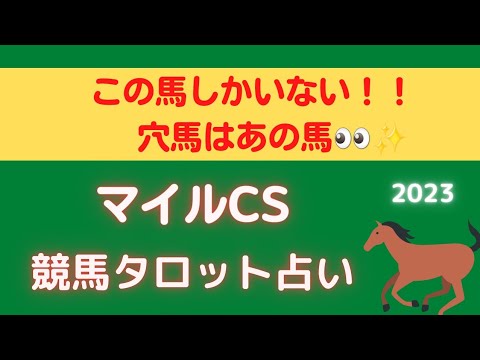 【この馬しかいない‼️】マイルチャンピオンシップ競馬タロット占い🔮【シュネルマイスターやナミュールの運気は🤔⁉️】