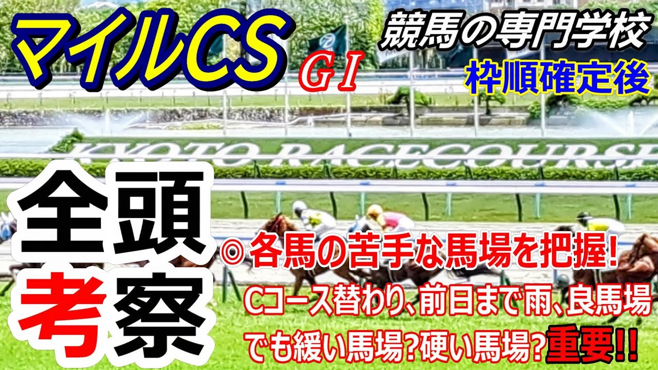 【マイルCS2023】全頭考察 人気各馬の馬場適性は超重要!紛れあるなら緩い馬場が登場した時