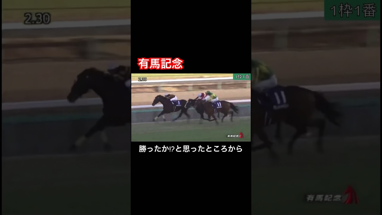 【有馬記念】勝ったかと思ったところから最後の最後に差されてしまう