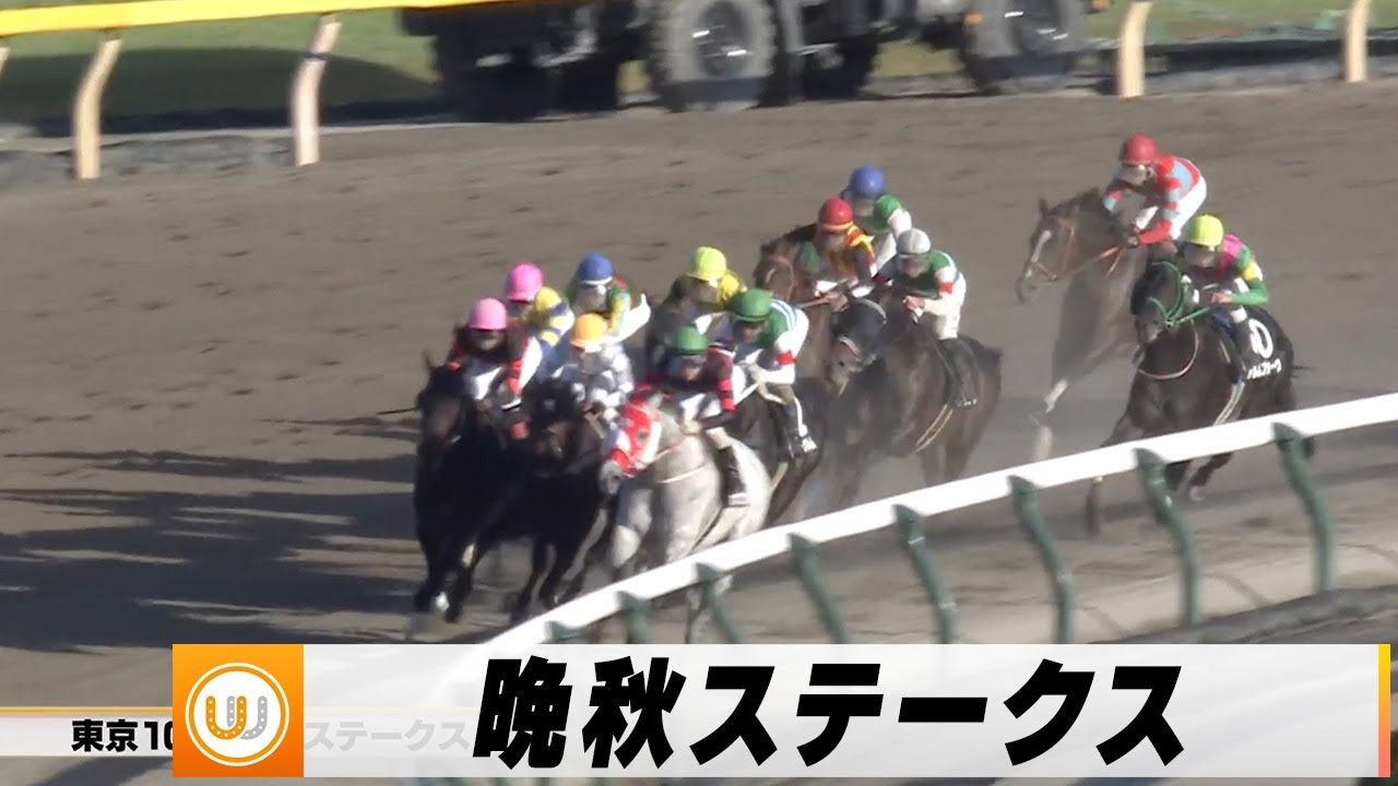 【2023】晩秋ステークス 東京競馬場10R ｜ウイニング競馬 2023年11月18日（土）