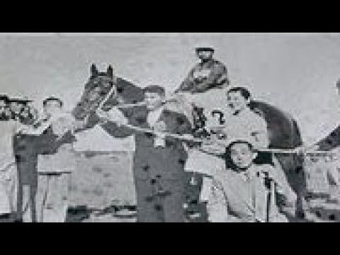第２５回　東京優駿（日本ダービー）　ダイゴホマレ　牡３　57　伊藤竹男　1958.5.25　　出走馬：カツラシユウホウ、タイセイホープ、テツシユウ、ヒシマサル、トサオー、コマヒカリ、タツテル他