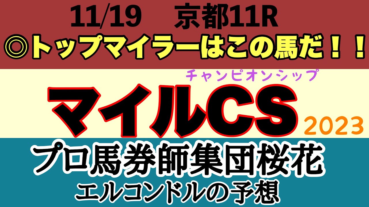 プロ馬券師集団桜花のエルコンドル氏のマイルチャンピオンシップ2023予想！！京都にマイルのトップマイラー集結！！セリフォスの連覇か！それとも？！最後はこのレースを勝ちたい強い想いが勝る！
