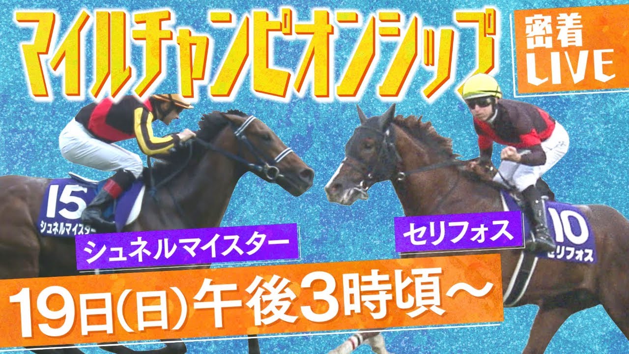 【密着LIVE配信】秋のマイル頂上決戦！有力馬に密着＜マイルチャンピオンシップ 2023＞