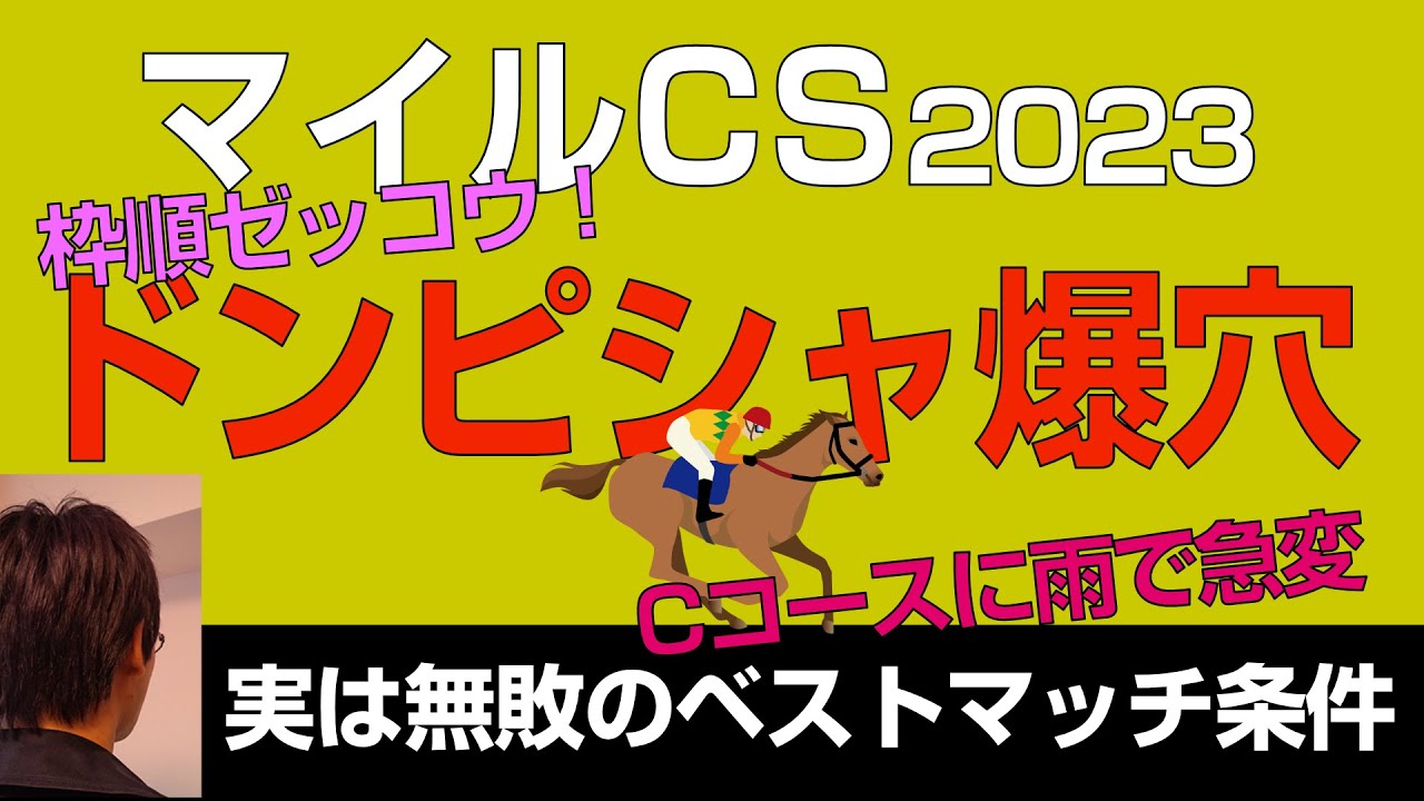マイルCS2023道悪爆穴「Cコースに雨で波乱馬場」無敗条件でハマる大穴