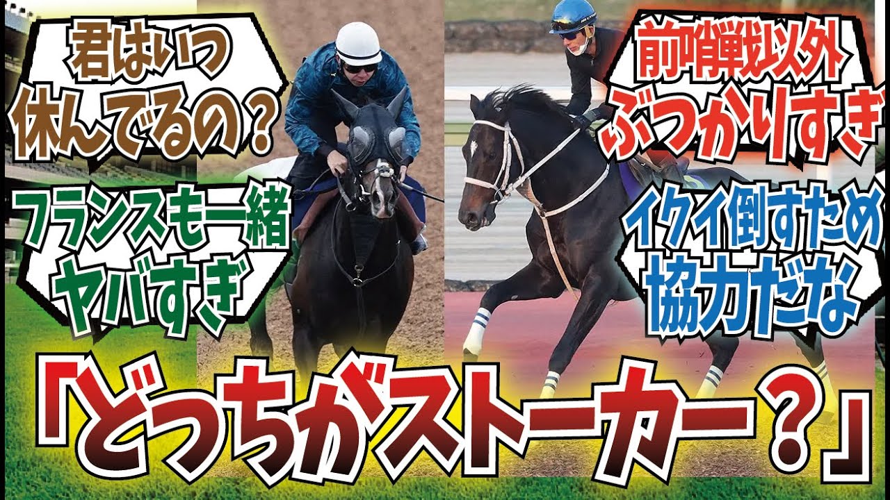 「この2頭いつも一緒だな」に対するみんなの反応集