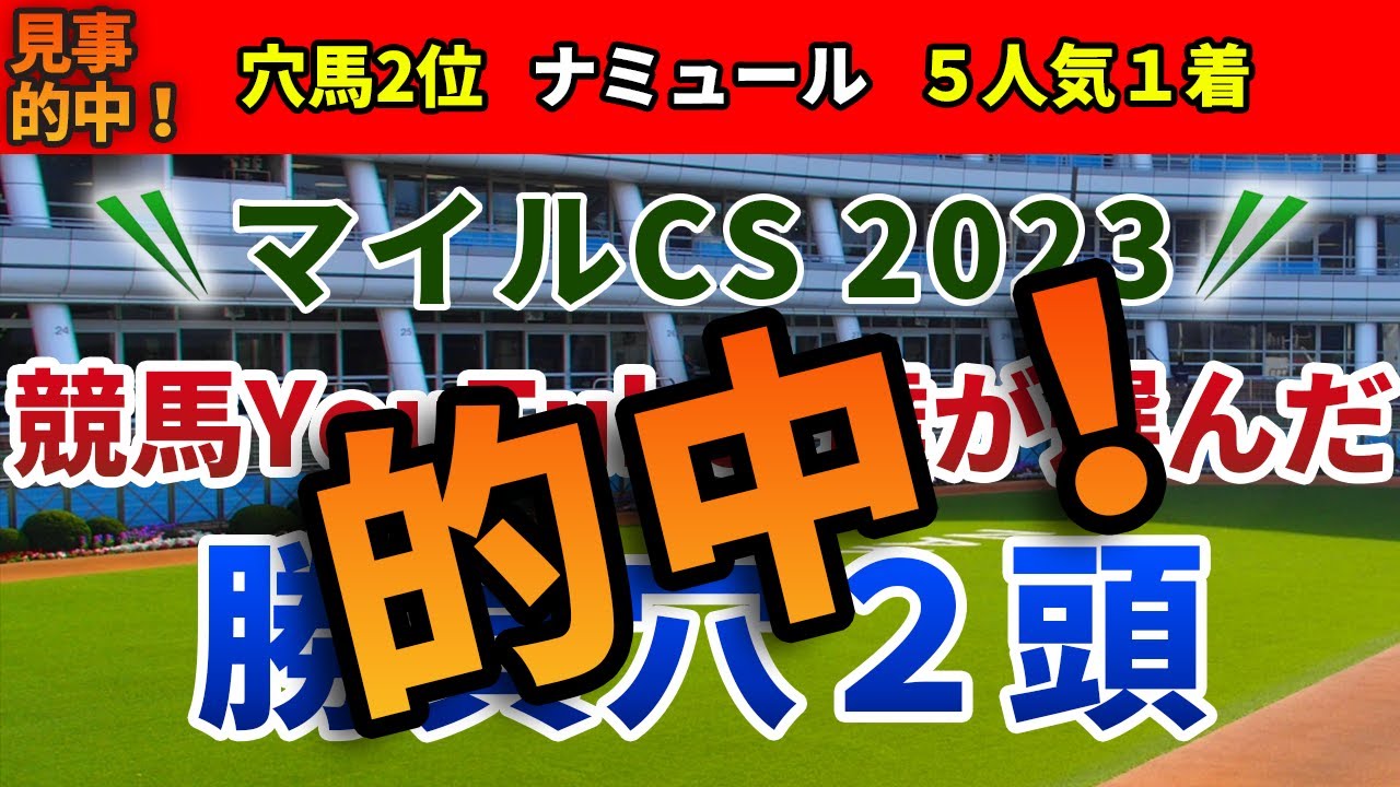 マイルCS2023 競馬YouTuber達が選んだ【勝負穴2頭】