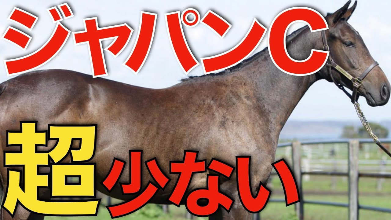【史上最少か】今年のジャパンCはまさかの10頭立て！？極上の少数精鋭レースへ。
