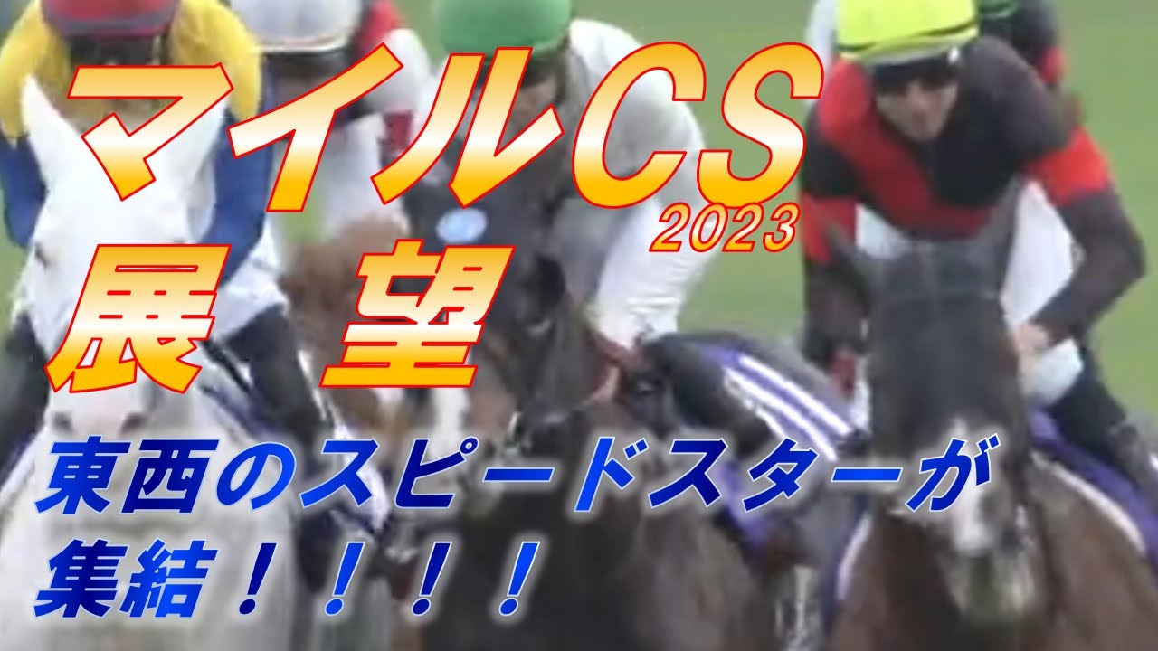 マイルチャンピオンシップ2023　展望　東西のスピードスターが集結‼　セリフォス、シュネルマイスター等　元馬術選手のコラム by アラシ