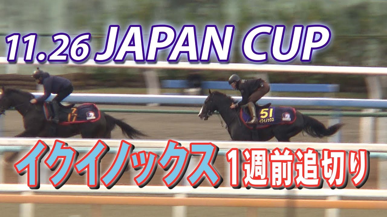 【11.26ジャパンカップ特集】イクイノックス　１週前追い切り