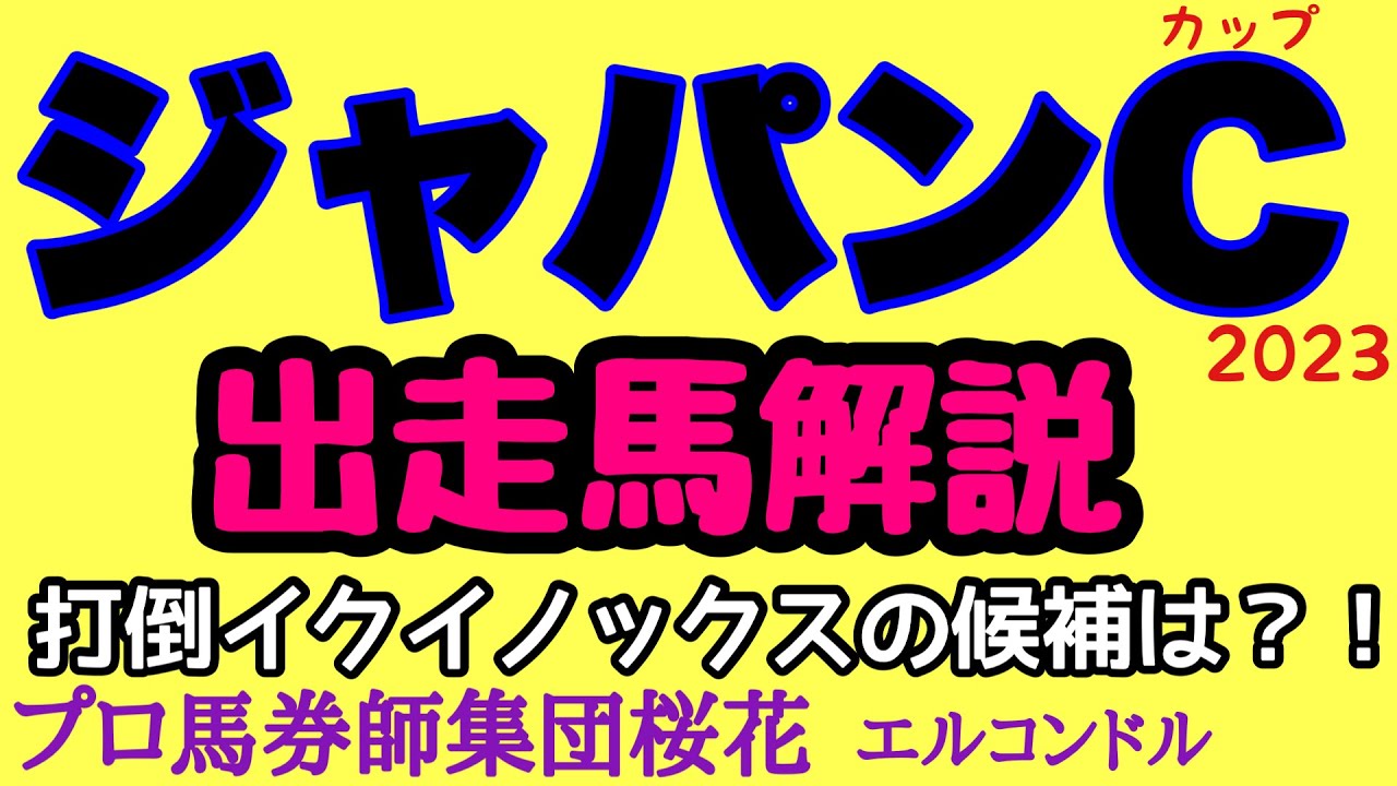 プロ馬券師集団桜花のエルコンドル氏のジャパンカップ2023出走馬解説！！焦点になるのは最強馬イクイノックスを負かせる可能性の馬はいるか！？イクイノックスにも不安要素がないわけじゃない！