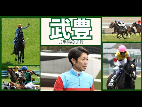 【武豊】明日は東スポ杯2歳Ｓ、来週ジャパンカップに向けてお手馬たちの動向 #ドウデュース　#ガイアメンテ　#カルパ　#ヤマニンウルス　#オーサムリザルト
