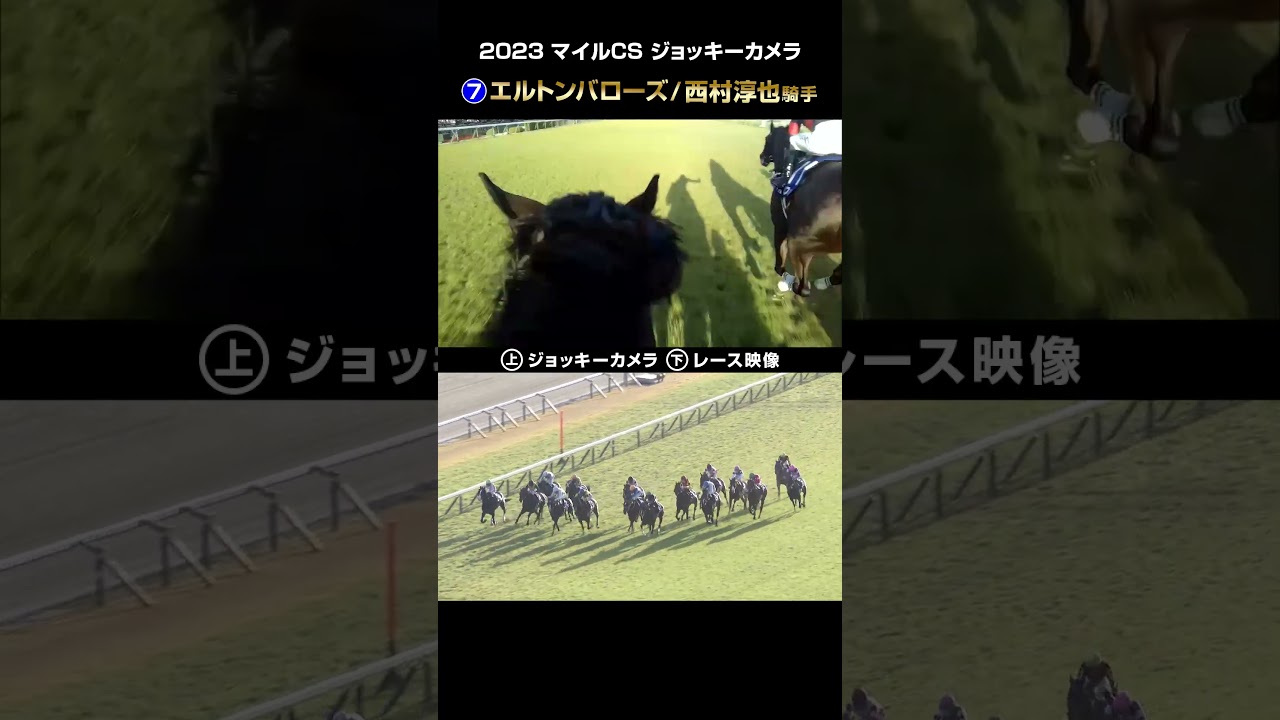 【ジョッキーカメラ×レース映像】2023年マイルチャンピオンシップ エルトンバローズ  西村淳也騎手 #shorts ｜JRA公式