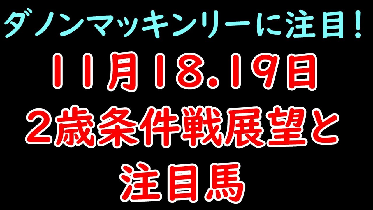 11月18日.19日2歳条件戦展望と注目馬！G1へ向け重要なレース！ダノンマッキンリーに注目か！【POG23-24】