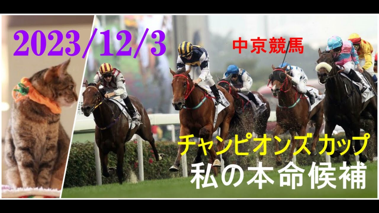 2023/12/3　中京競馬　チャンピオンズ カップ（ＧⅠ）私の本命候補