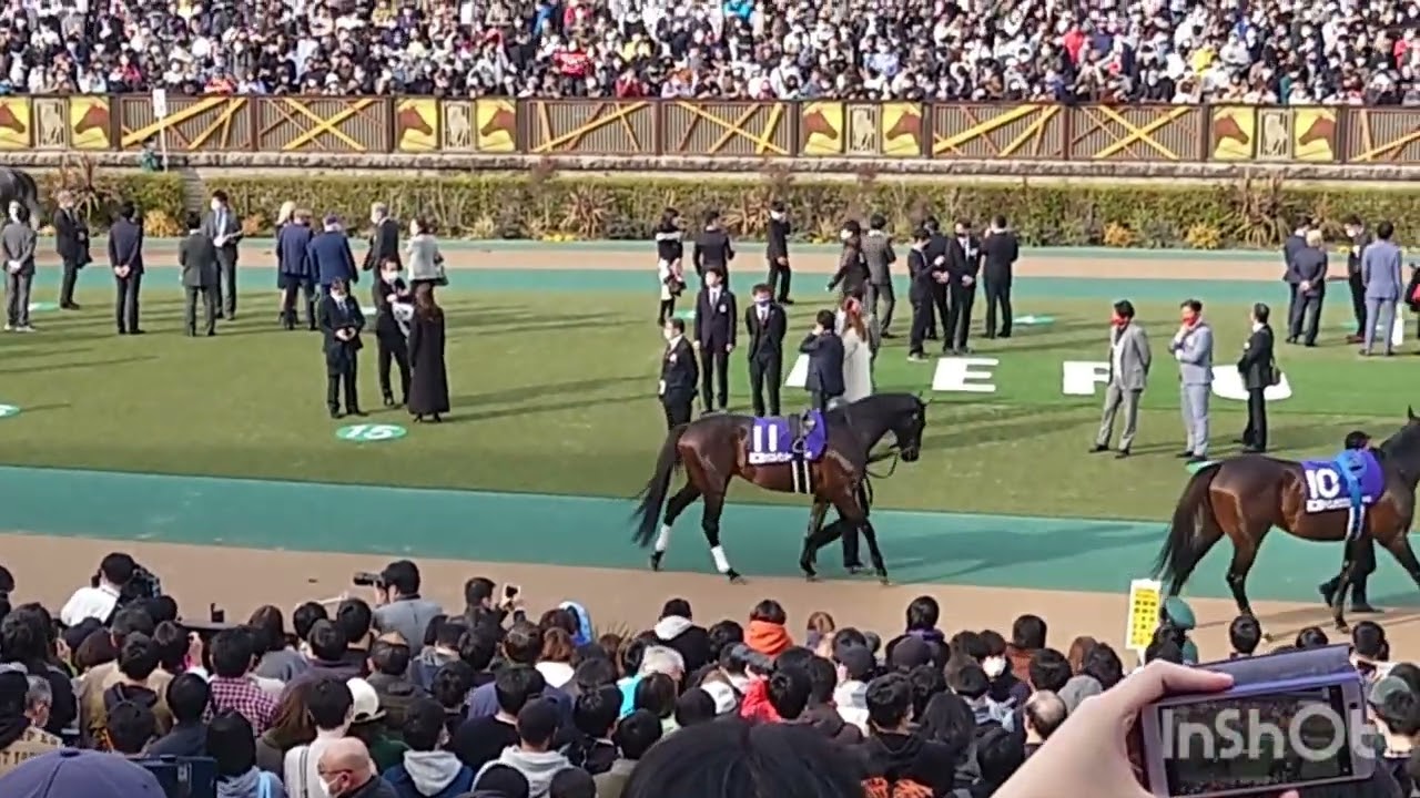 フェブラリーステークス2023 in 東京競馬場！