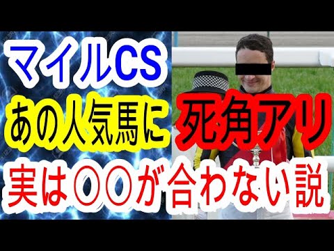 【競馬予想】マイルチャンピオンシップ2023　シュネルマイスター　セリフォスのどちらかは4着以下の恐れあり！？　ヤバイマイナス要素が見つかってしまいました・・・