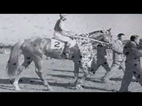 第１９回　東京優駿（日本ダービー）　クリノハナ　牡３　57　八木沢勝美　1952.5.25　　出走馬：タカハタ、クインナルビー、ニユーモアナ、マサタカ、ダイコロンブス、キミサチ、スウヰイスー他