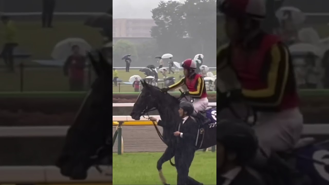 2023ヴィクトリアマイル ソングライン ウイニングラン