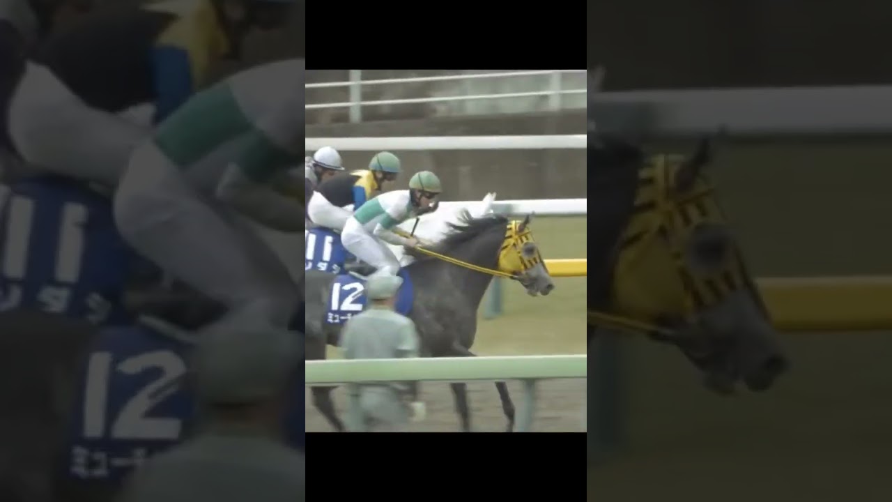 #ミューチャリー #競馬 #horse #フェブラリーステークス #ソダシ