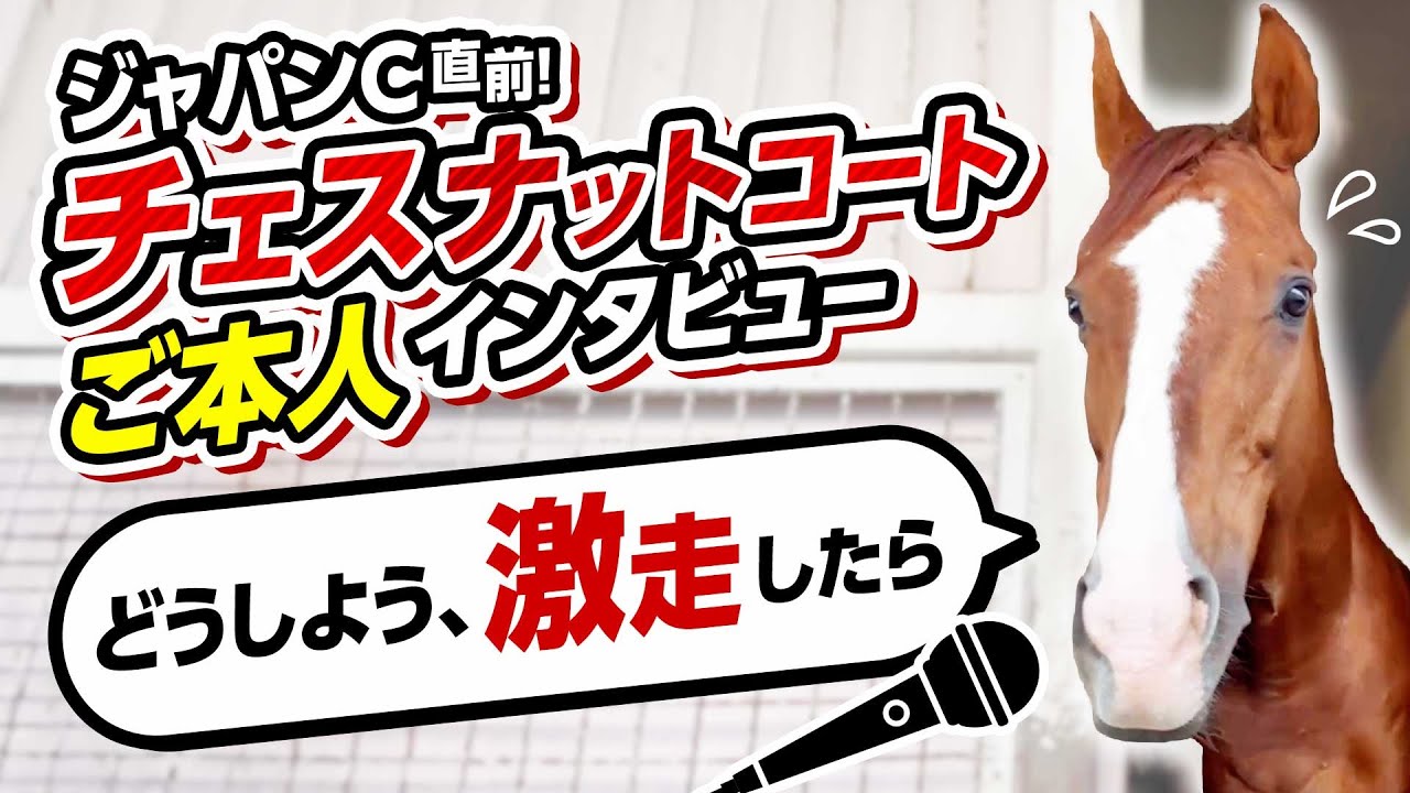 「どうしよう、激走したら」園田からジャパンカップ参戦！チェスナットコートさん直撃インタビュー