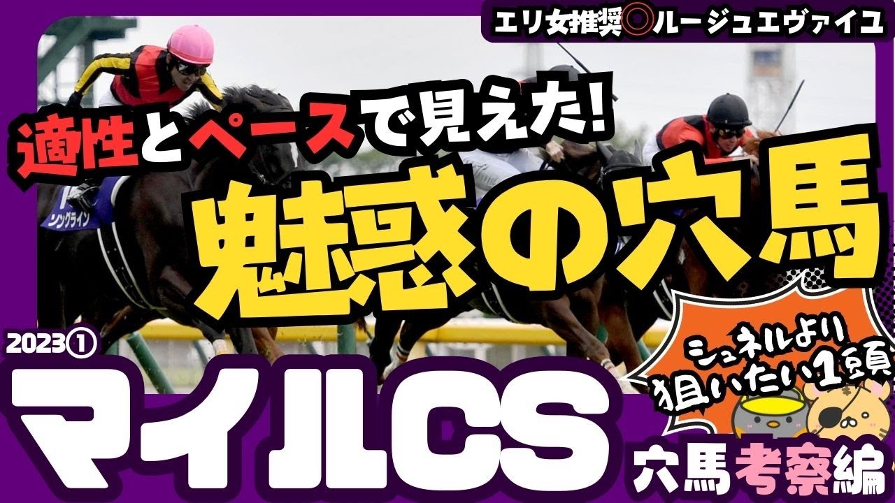 【マイルCS2023】シュネルマイスターより狙いたい1頭！ データとパフォーマンスチェックで狙いたい穴馬を考えます！【競馬予想】