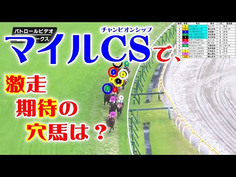 富士Sをパトロールビデオで振り返ったら、マイルチャンピオンシップが見えてきた！