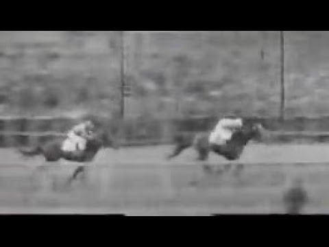 第２回　東京優駿大競走（日本ダービー）　カブトヤマ　牡３　55　大久保房松　1933.4.23　　出走馬：メリーユートピア、アスリート、ワカイワヰ、ナガト、キクノハナ、エーモア、クレツセント、ヤスノ他