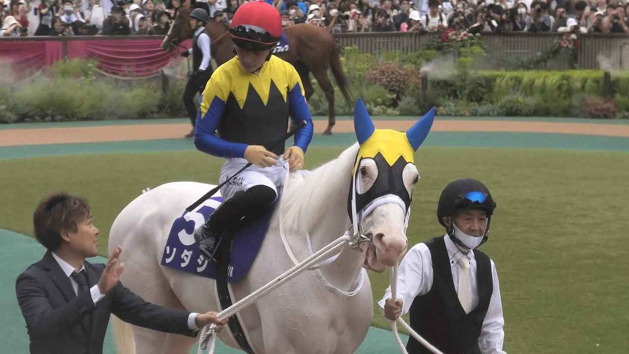 【安田記念2023】「今浪さんとラストです」とこちらへアピールするソダシと真剣な鋭い目つきが素敵な今日も美男子川田さん