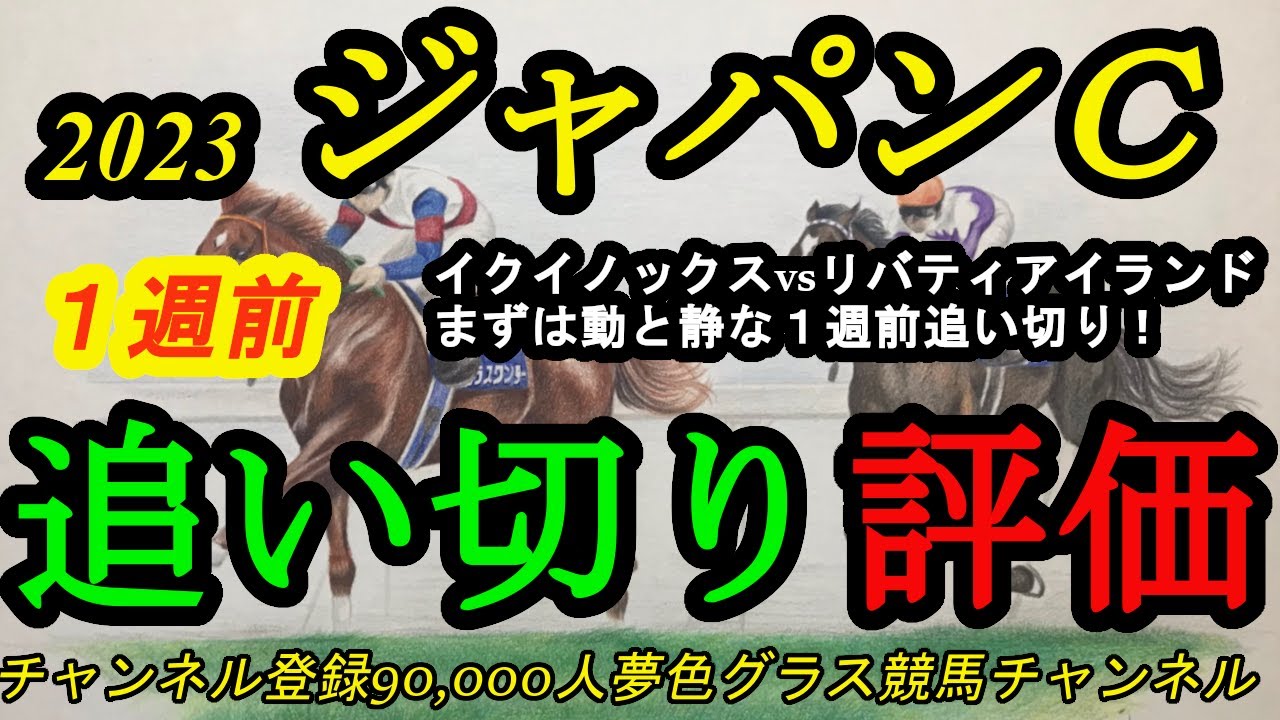 【1週前追い切り評価】2023ジャパンカップ！実現イクイノックスvsリバティアイランド！まずは動と静の1週前追い切り？