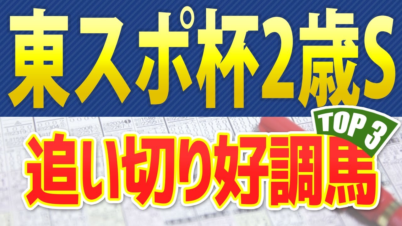 東京スポーツ杯2歳ステークス（2023）追い切り・調教が好調だった「トップ3」はこの馬だ🐴 ～JRA東スポ杯2歳Sの競馬予想～