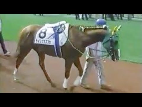 第６４回　東京優駿（日本ダービー）（ＧⅠ）　パドック　1997.6.１　　出走馬：シルクジャスティス、メジロブライト 、マチカネフクキタル 、サニーブライアン、サイレンススズカ、ランニングゲイル他