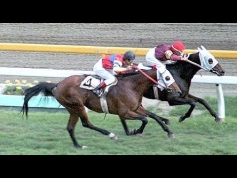 第４６回　東京優駿（日本ダービー）　カツラノハイセイコ　牡３　57　松本善登　1979.5.27　　出走馬：リンドプルバン、テルテンリュウ、ビンゴガルー、ネーハイジェット、ハーディープリンス他
