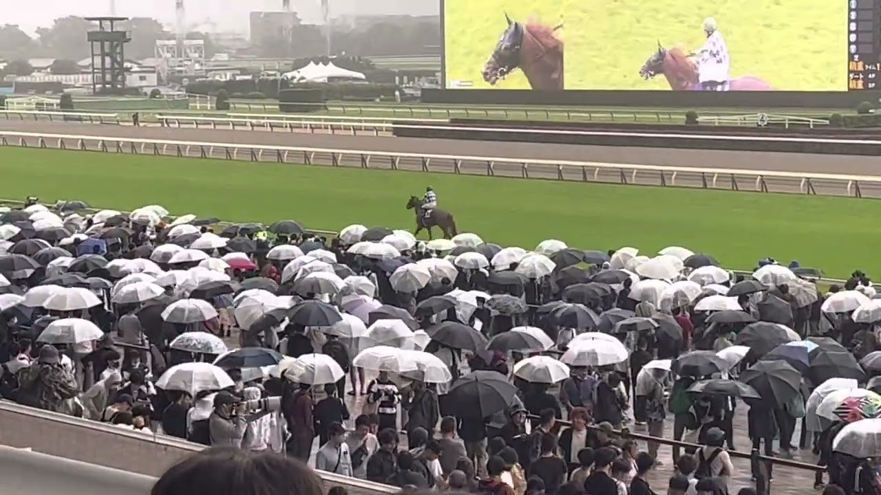 NHKマイルカップウイニングラン