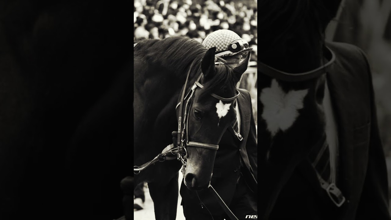 【予告編】2023皐月賞　#shorts #競馬