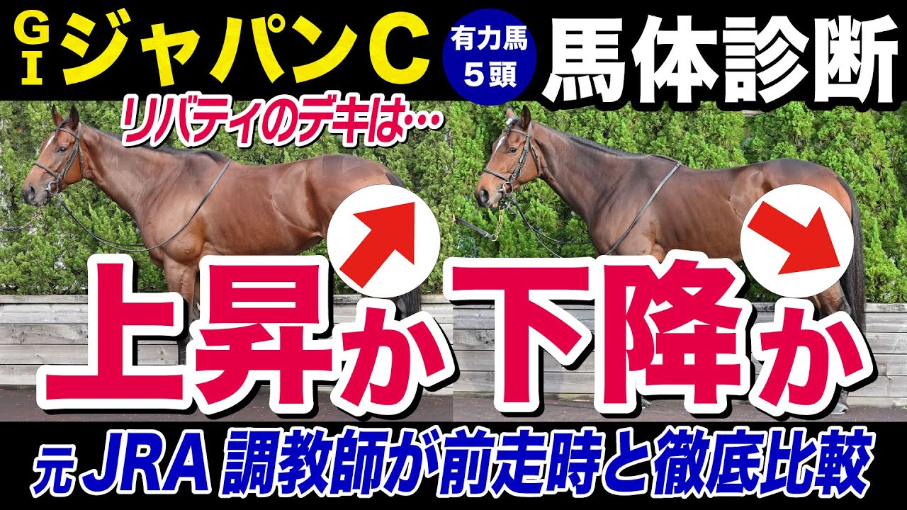 【ジャパンカップ2023】中村均元調教師が馬体診断　イクイノックスにレコードVの反動はあるのか？　有力馬を前走時の状態と徹底比較《東スポ競馬ニュース》
