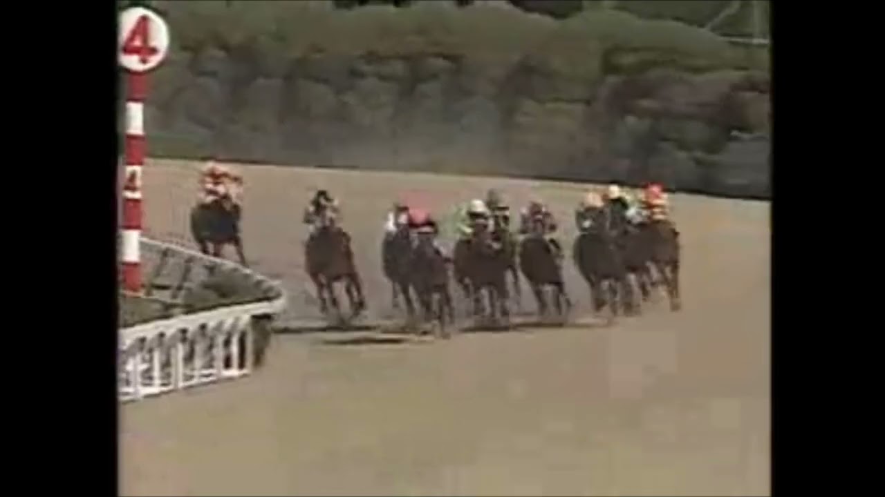第２９回サンケイ大阪杯（ＧⅡ）　ステートジャガー　牡４　56　田原成貴　1985.3.31　出走馬：ミスターシービー、スズカコバン、ゴールドウェイ、ハシローディー、ニシノライデン、ニホンピロウイナー他