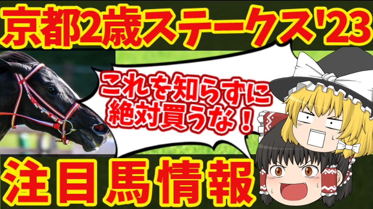 【京都2歳ステークス】2歳GⅠに向けた有力馬が集結！知らないと損をする注目馬の情報！