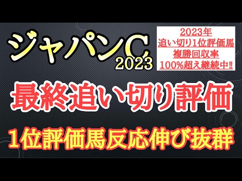 【ジャパンカップ2023】最終追い切り評価！イクイノックスら有力馬の動きはどうだったのか？そして個人的追い切り1位はどの馬だ！？
