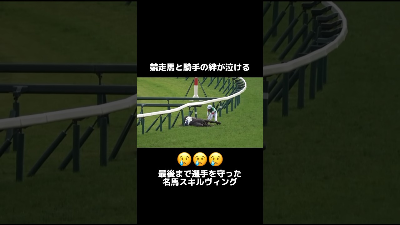 【感動】倒れたスキルヴィングに寄り添うルメール騎手 #競馬 #おすすめ #競馬予想 #感動 #shorts #投資
