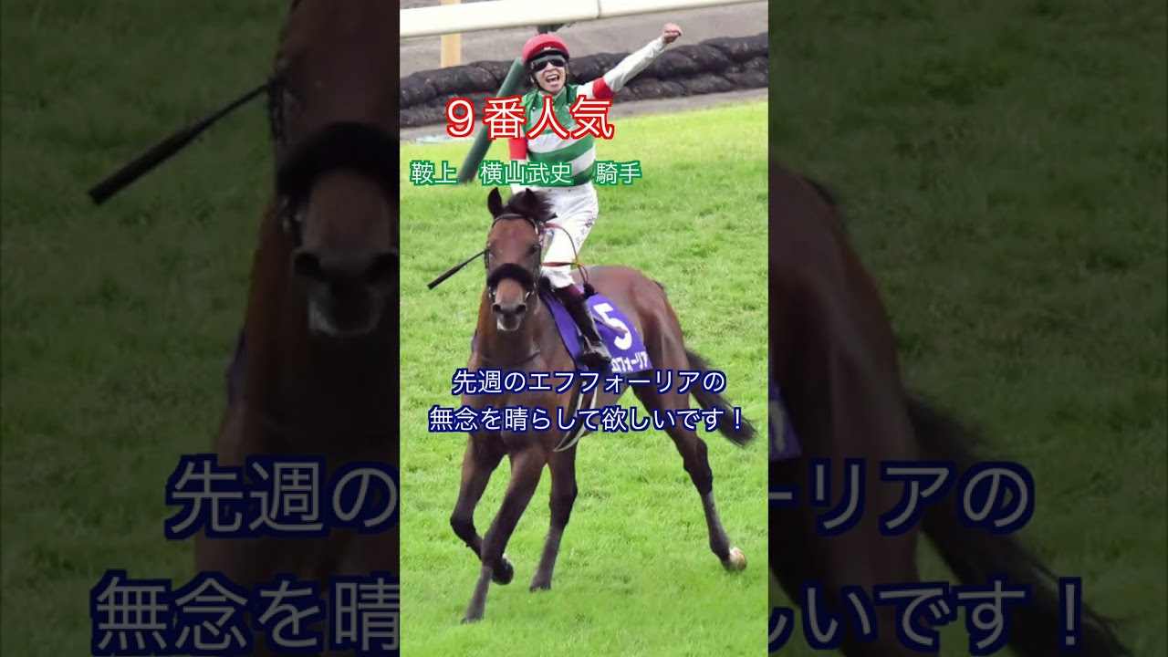 ２０２３フェブラリーステークス穴馬に迷ったらこれを買え！　　　　　　競馬女子による予想