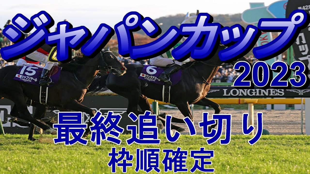 【ジャパンカップ2023】第43回ジャパンカップ最終追い切り（枠順確定）
