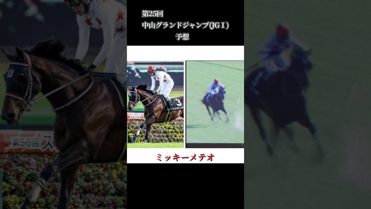 4/15 第25回　中山グランドジャンプ(JGⅠ) 評価予想 オススメ馬券