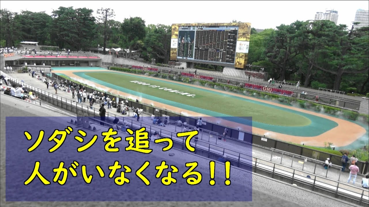 安田記念パドック　ソダシを追って観客が移動する様子