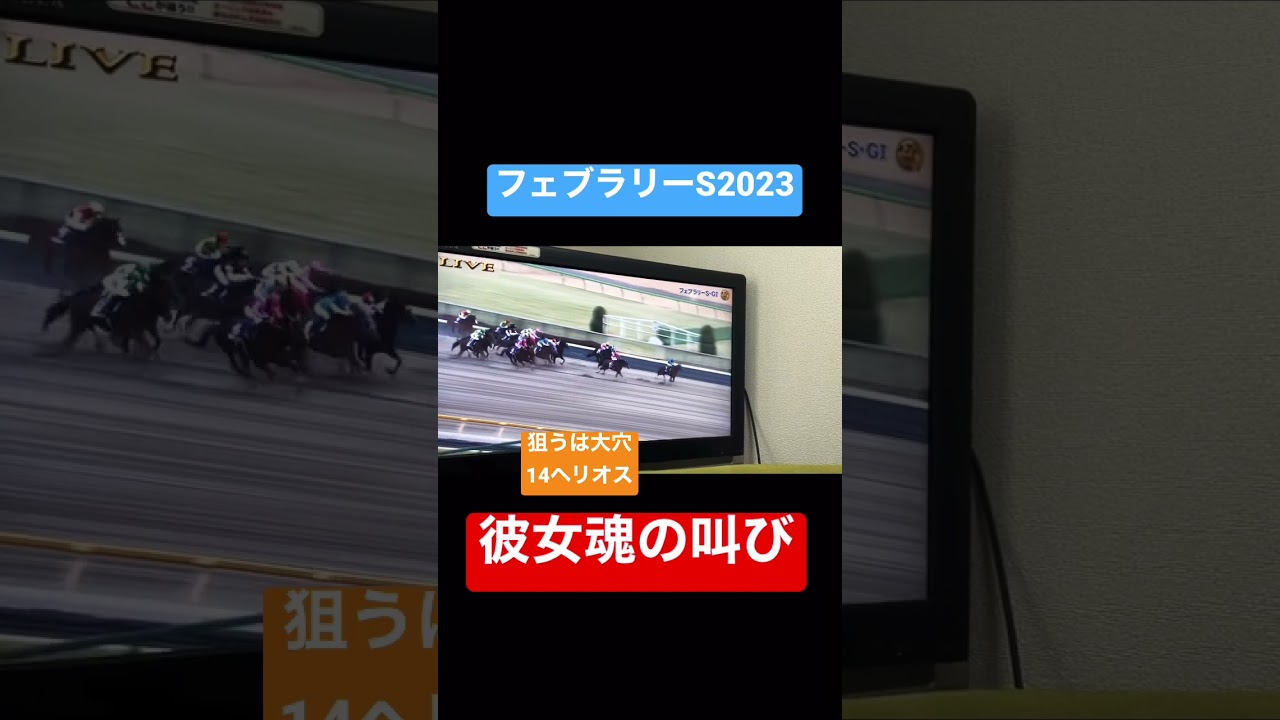 【フェブラリーS】彼女魂の叫び！大穴狙いの行く末は！？　#競馬 #umajo #ウマジョ #フェブラリーステークス #馬券