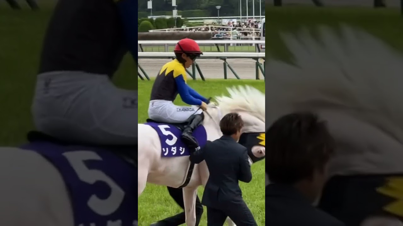 2023 安田記念 ソダシ 本馬場入場 #jra