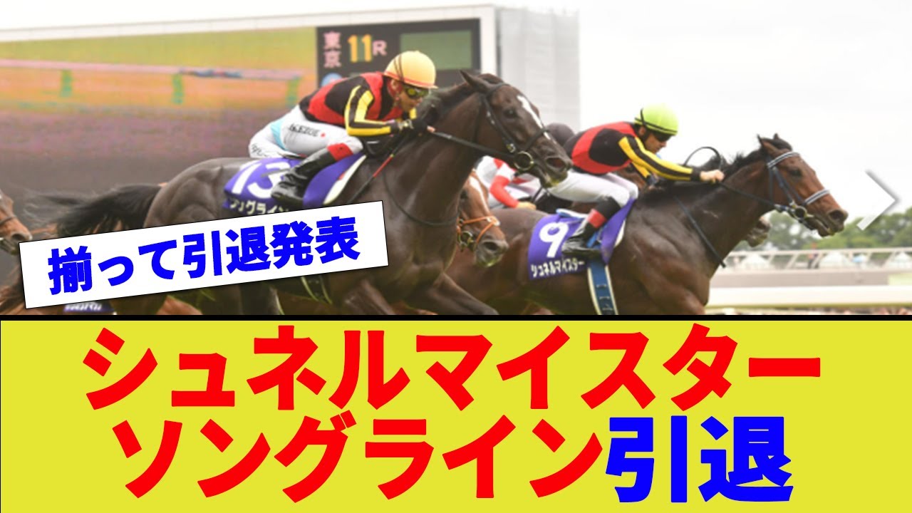 ソングラインとシュネルマイスター、引退発表【競馬　反応集】【2ch 5ch】